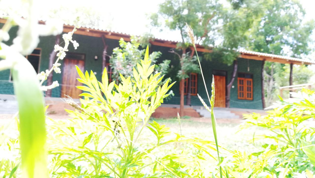 Araliya Self Cooking Resort ダンブッラ エクステリア 写真