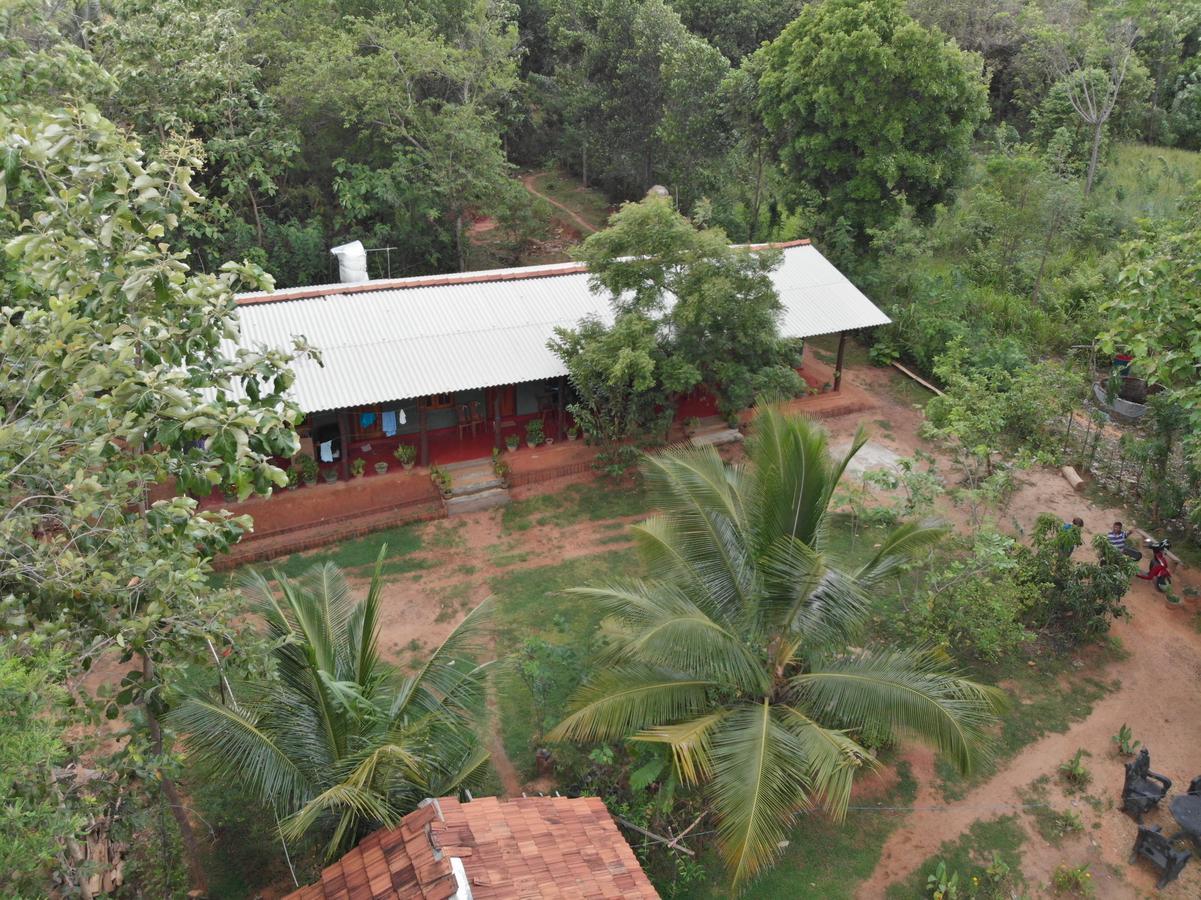 Araliya Self Cooking Resort ダンブッラ エクステリア 写真