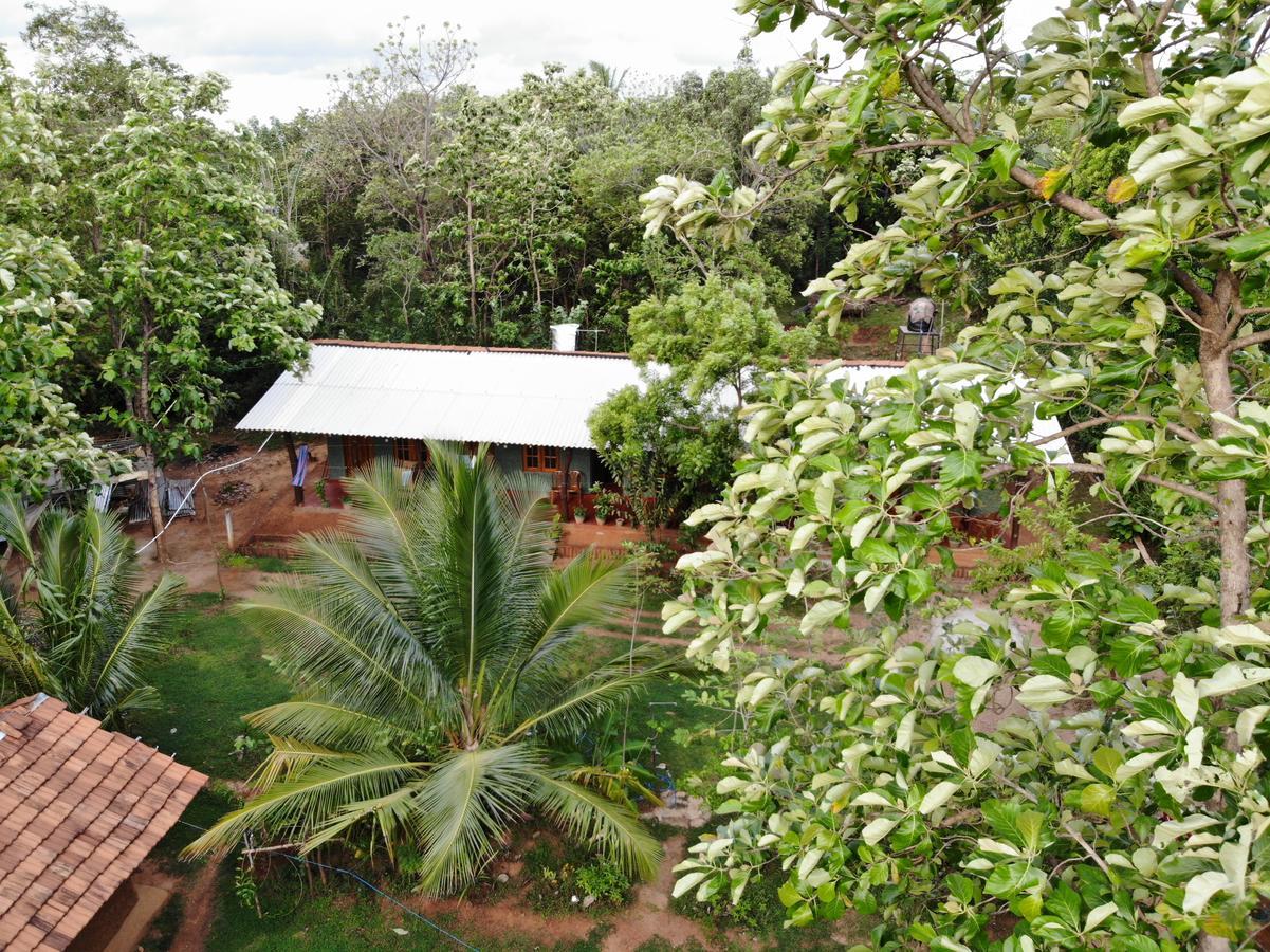 Araliya Self Cooking Resort ダンブッラ エクステリア 写真