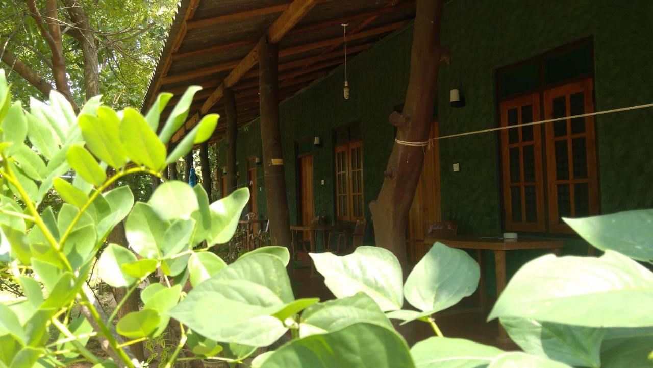 Araliya Self Cooking Resort ダンブッラ エクステリア 写真